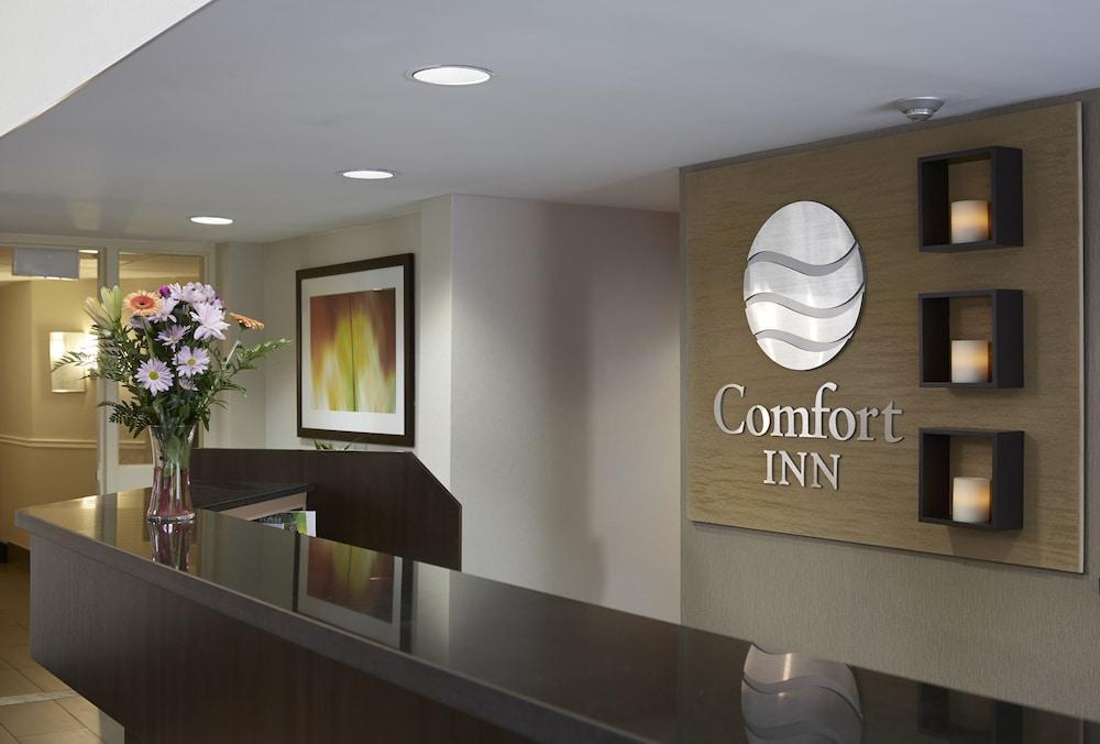 סט-איל Comfort Inn מראה חיצוני תמונה