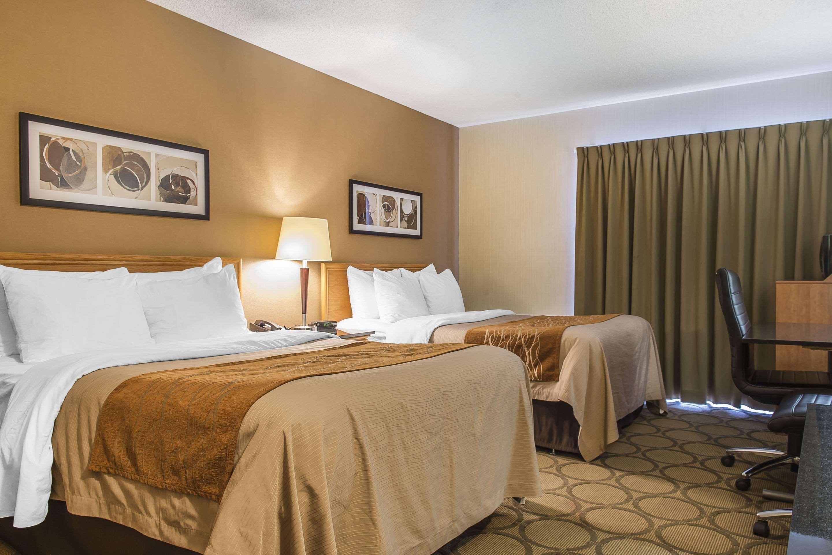 סט-איל Comfort Inn מראה חיצוני תמונה