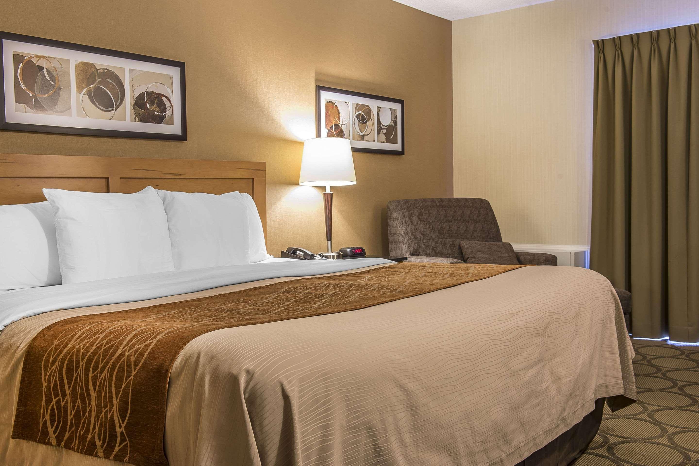 סט-איל Comfort Inn מראה חיצוני תמונה